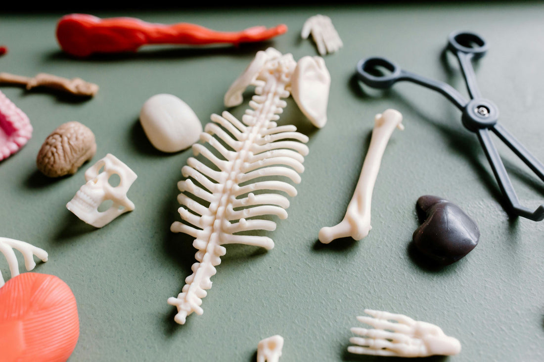 Lower Back Pain - The Foot Connection